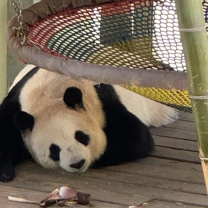 溧阳2日1晚自由行