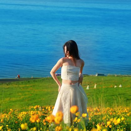 新疆北疆+乌鲁木齐+喀纳斯景区+赛里木湖8日7晚跟团游