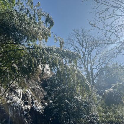 九华山3日2晚私家团