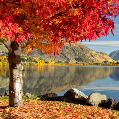 日本京都+大阪+琵琶湖5日4晚私家团