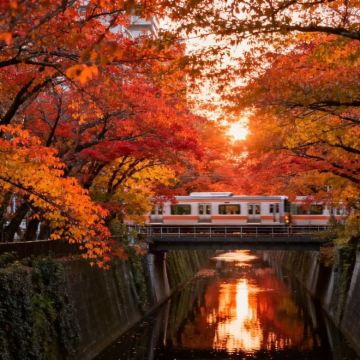 日本东京+富士山+长野市+轻井泽町5日4晚拼小团