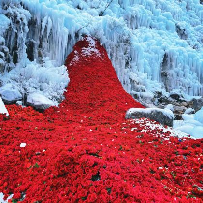 郑州+开封+焦作+洛阳+登封5日4晚私家团