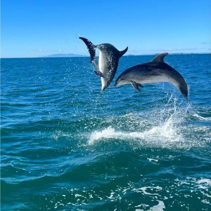 澳大利亚西澳大利亚珀斯4日3晚私家团