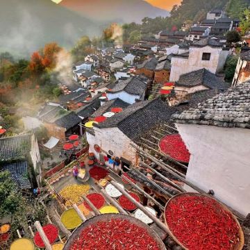 景德镇+婺源+三清山4日3晚跟团游