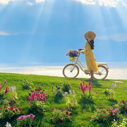 大理市4日3晚拼小团