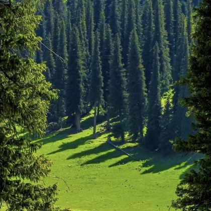 伊犁那拉提旅游风景区+库尔德宁景区2日1晚拼小团