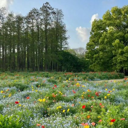 伊犁那拉提旅游风景区+库尔德宁景区+喀拉峻大草原+赛里木湖4日3晚拼小团