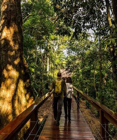 3D2N • Tambopata Jungle Tour 3 Days in Amazon Garden Lodge
