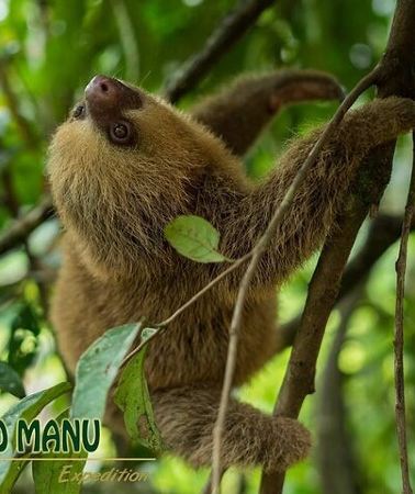 4D3N • 4-Day Private Tour to Manu National Park from Cusco
