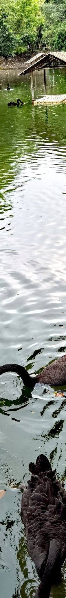 茂名森林公园-茂名