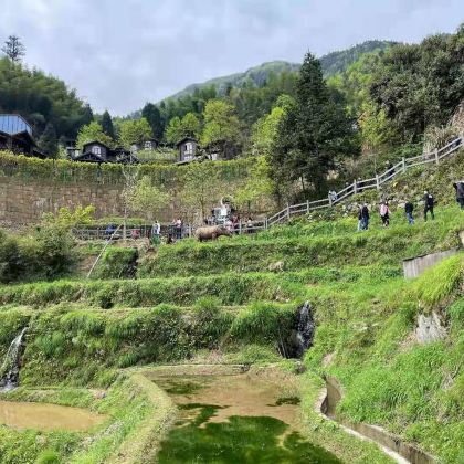 丽水云和梯田景区+古堰画乡景区+大木山茶园景区+遂昌金矿国家矿山公园+千峡湖生态旅游度假区5日4晚私家团