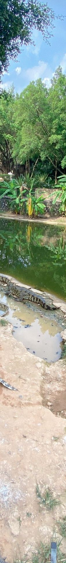 南宁动物园-南宁