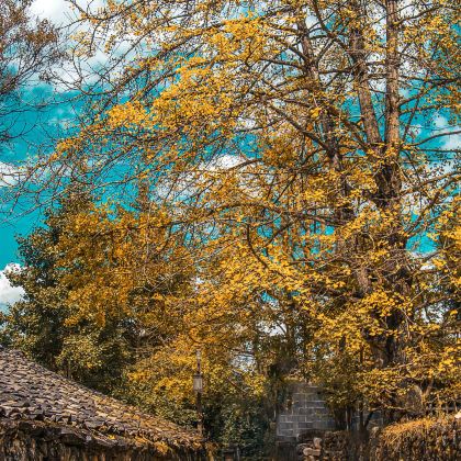 腾冲+瑞丽+芒市+丽江+泸沽湖9日8晚拼小团