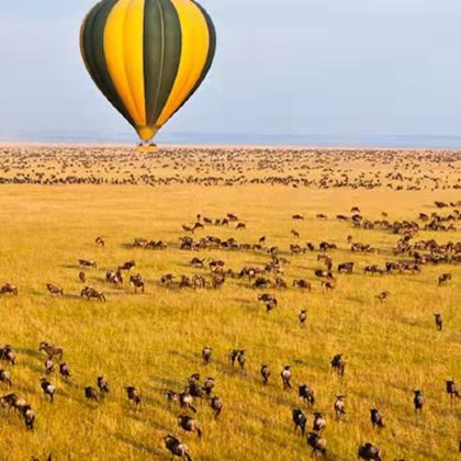 肯尼亚内罗毕+安博塞利+马赛马拉国家保护区+塞伦盖蒂国家公园+恩戈罗恩戈罗火山口12日9晚私家团