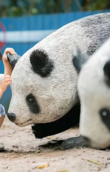 广州长隆度假区+深圳+香港+澳门+珠海长隆度假区7日6晚跟团游图片