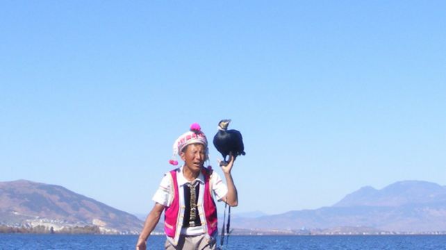 9-Day Natural and Cultural Yunnan Private Tour from Kunming·Dali, Lijiang and Shangri-La丨Erhai Lake Biking, Shuhe Ancient Town, Ancient Town Shaxi  and Tiger Leaping Gorge