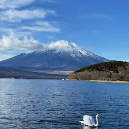 日本东京+富士山2日1晚拼小团