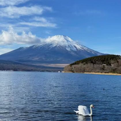 日本东京+富士山2日1晚拼小团