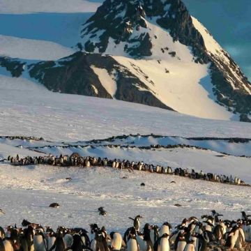 智利圣地亚哥+南极洲南极半岛+南设得兰群岛+蓬塔阿雷纳斯+瓦尔帕莱索15日跟团游