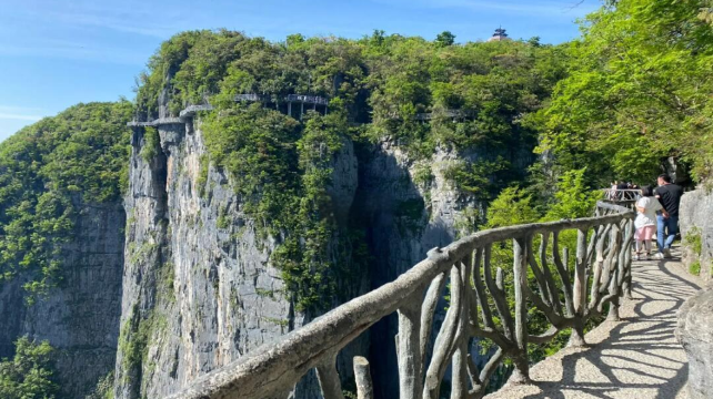 3-Day Best of Zhangjiajie Tour·Zhangjiajie National Forest Park | Tianmen Mountain | Cliff Glass Plank Road | Tianmen Cave