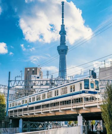 8D7N • Ultimate Japan Family Journey: Kyoto Culture, Nara Deer, Arashiyama Bamboo, Mt. Fuji Scenic Spots and Tokyo City Discovery