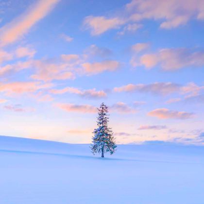 日本北海道4日3晚私家团