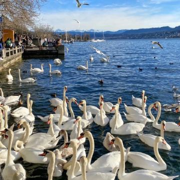 瑞士苏黎世+卢塞恩+因特拉肯+Interlaken District+菲舍塔尔+采尔马特+蒙特勒+韦托+格兰瓦克斯+日内瓦10日9晚私家团