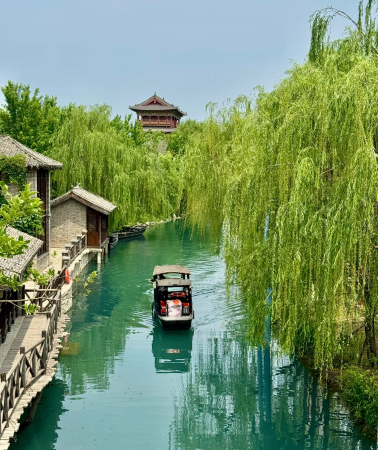 9天7晚 • 濟南＋淄博＋煙台＋威海＋青島＋泰安＋曲阜，赴一場限定花事，聖城漢服體驗，體驗鄉村文化，攬山海風情