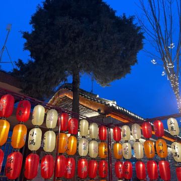 安阳殷墟+汤阴羑里城+内黄岳飞庙+林州红旗渠3日2晚私家团