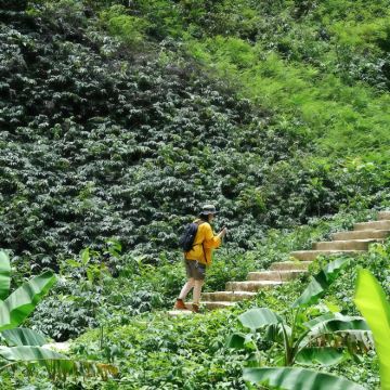 广西桂林+阳朔+漓江+南宁+德天瀑布+通灵峡谷7日6晚跟团游
