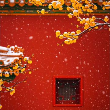 北京6日5晚私家团