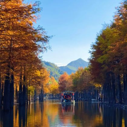 宣城+查济+落羽红杉林景区+储家滩4日3晚私家团