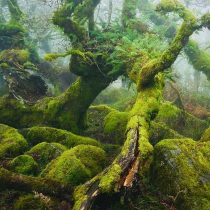 英国伦敦+温彻斯特+伯恩矛斯+埃克塞特+巴斯+康瓦尔郡10日9晚私家团