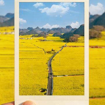 昆明+弥勒+罗平+坝美世外桃源景区+普者黑景区+蒙自+元阳哈尼梯田+建水+抚仙湖+元谋+东川红土地9日8晚私家团