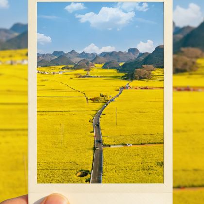 昆明+建水+元阳+弥勒+罗平+普者黑景区+坝美世外桃源景区8日7晚私家团