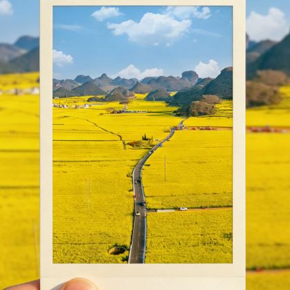 昆明+弥勒+罗平+坝美世外桃源景区+普者黑景区+蒙自+元阳哈尼梯田+建水+抚仙湖+元谋+东川红土地9日8晚私家团