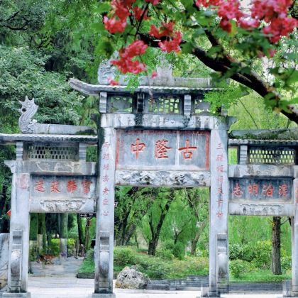武汉+武当山风景区+神农架5日4晚拼小团