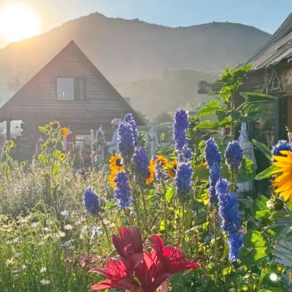 乌鲁木齐+布尔津+喀纳斯景区+赛里木湖+那拉提旅游风景区9日8晚自由行
