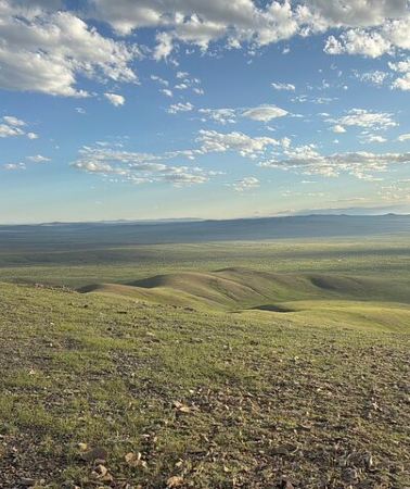 5D4N • The Best of Central Mongolia Tour in 5 Days