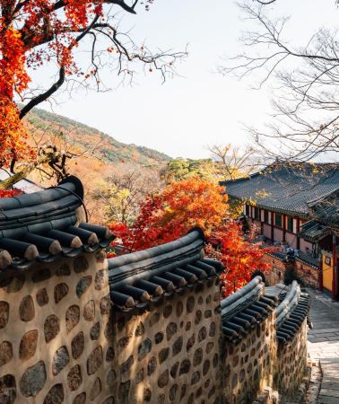 7天6晚 • 釜山深度秋楓7天尋味之旅 ｜韓食最強攻略「金井山梵魚寺、金剛公園、華明樹木園、大渚生態公園」 -純玩團 -不設指定購物點