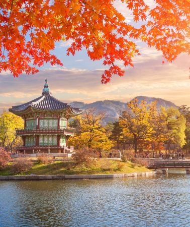 4天3晚 • 韓國首爾＋愛寶樂園「親子、閨蜜、好友結伴首選」八人精緻小團，古宮韓屋＋潮逛街區＋愛寶樂園暢玩