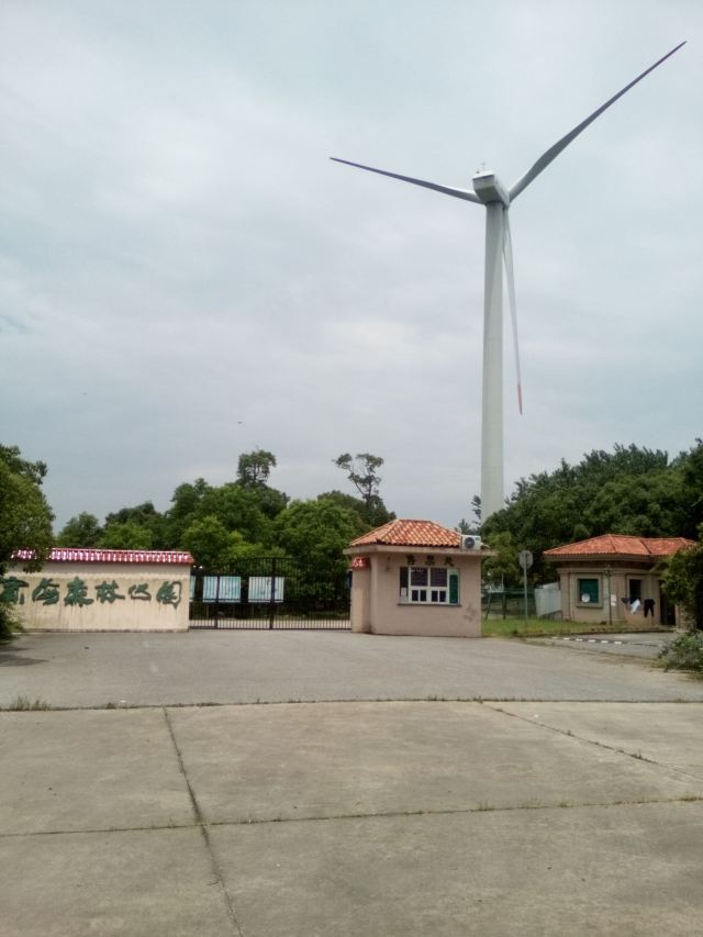 上海滨海森林公园旅行图片 1