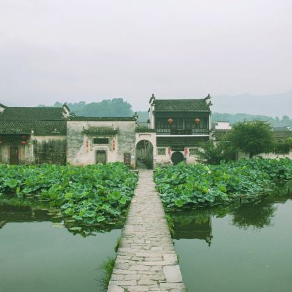 宏村景区+黄山风景区+徽州古城3日2晚跟团游