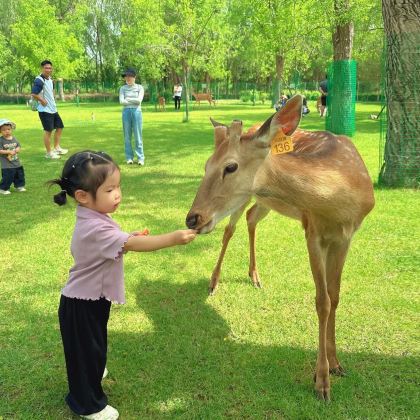 神农架5日4晚跟团游