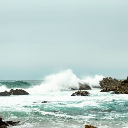 澳大利亚墨尔本+悉尼+丘吉尔岛传统农场+Raymond Island+Seal Rocks+巴特曼斯湾+蓝色海洋路+伊登+凯阿马喷水孔+杰维斯湾观鲸游船8日7晚私家团