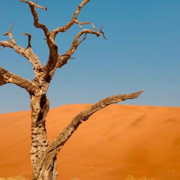 津巴布韦维多利亚瀑布+赞比亚Mukuni Village+博茨瓦纳乔贝区+奥卡万戈三角洲+纳米比亚埃托沙国家公园+辛巴红泥人部落+鲸湾港+纳米布沙漠15日12晚跟团游