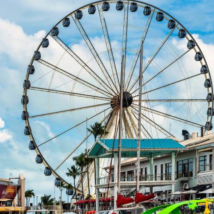 美国奥兰多+迈阿密+劳德代尔堡+基韦斯特岛10日8晚私家团