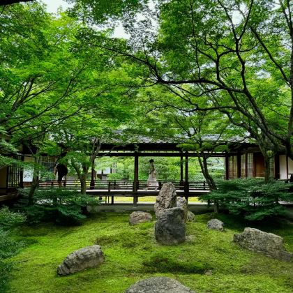 日本东京+富士山+大阪+京都+奈良市8日7晚跟团游