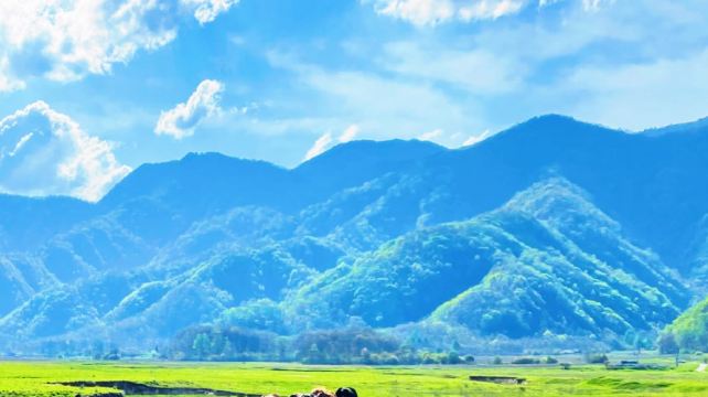 神农架、宜昌+5