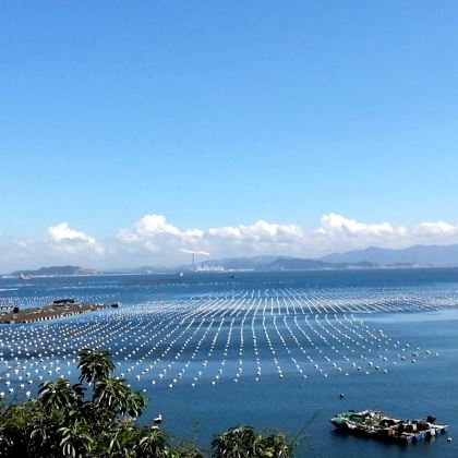 汕头+南澳岛+潮州+揭阳+梅州7日6晚拼小团